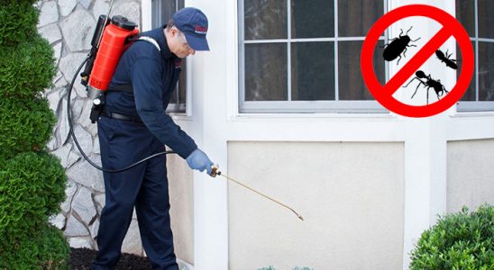 Kozaklı Böcek ve Haşere İlaçlama böcek ilaçlama ve haşere kontrolü — ilaclama-tr.com